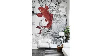 Koi re-edition