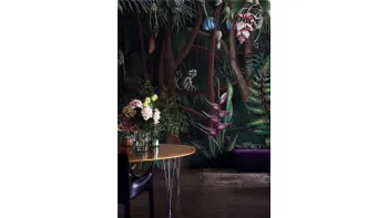 Looks in the Forest