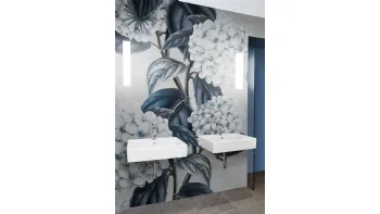 Ortensia