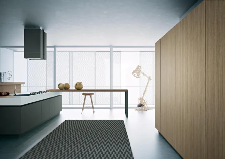 Cucina Moderna lineare Area 22 30 gradi 01 in laccato di Dibiesse